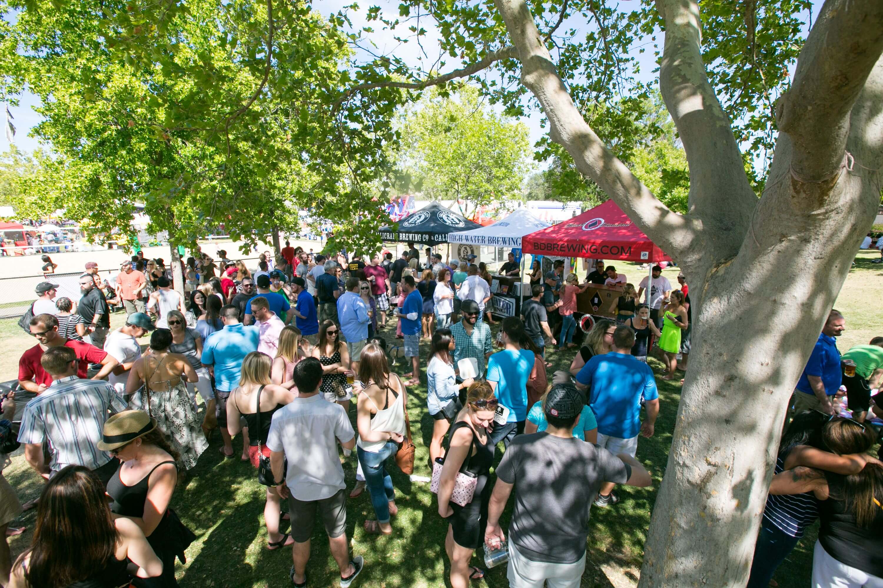 Art & Wine Festival 2025 Walnut Creek Chamber of Commerce & Visitors